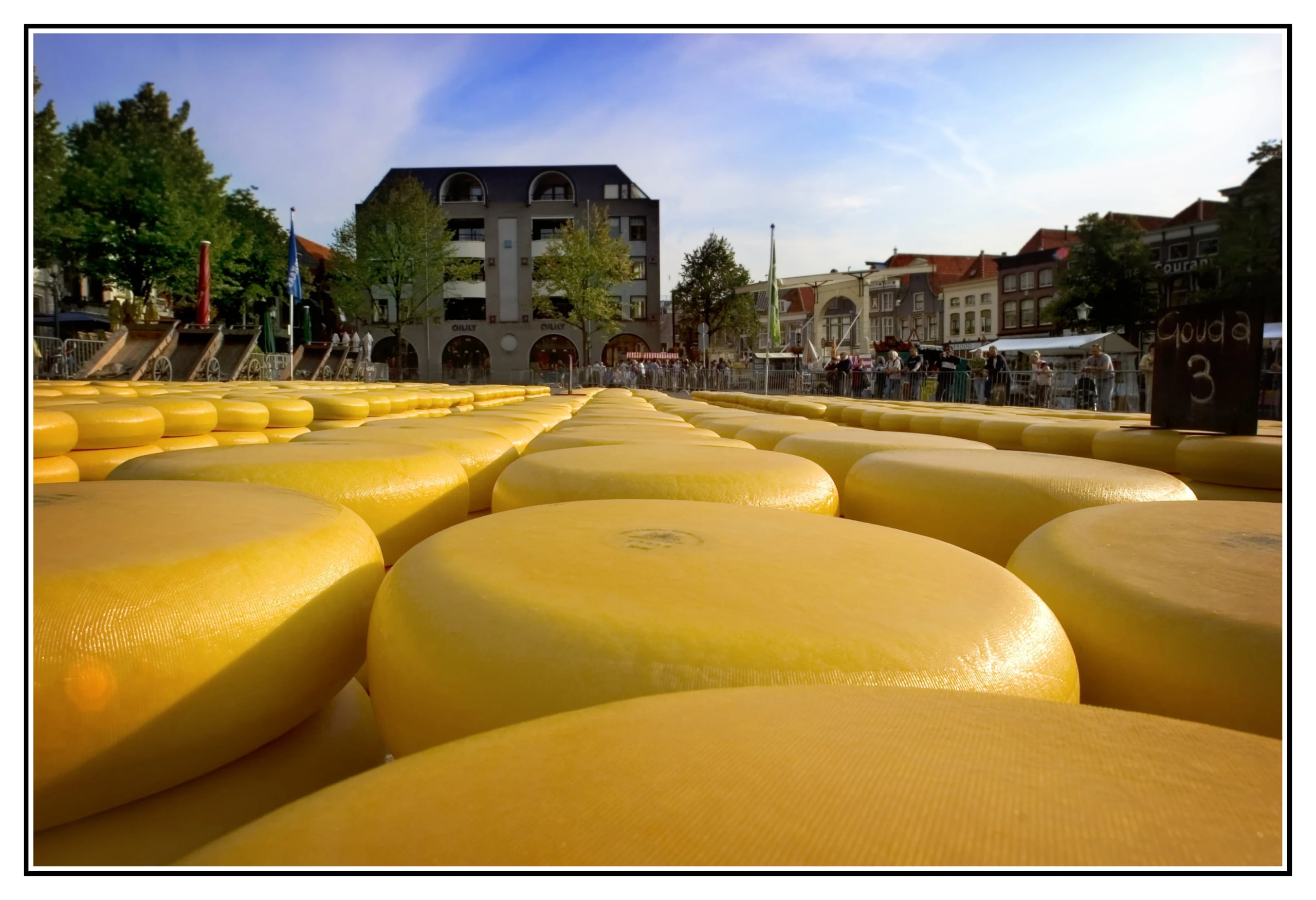 Olanda, paradiso dei ciclisti